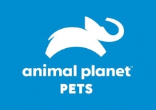 Animal Planet Pets