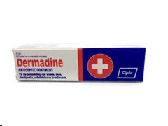 Dermadine Ointment 25g