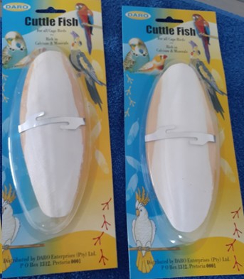 Cuttlefish Blister Card & Clip