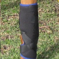 Animal Dynamix H/Pet Carpal Support XL right