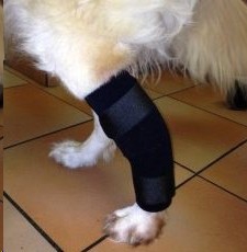 Animal Dynamix H/Pet Tarsal Support Thermomould XL