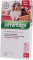 Advantage Large Dogs 4x2.5ml (10-25kg) Red*