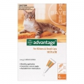 Advantage Small Cats 4x0.4ml (0-4kg) Orange *