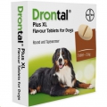 Drontal Plus Flav XL Dog 24's