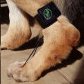Animal Dynamix H/Pet Toe Lift Med sgl