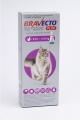 Bravecto PLUS Lrg Cat 500mg(6.25-12.5kg)Purp