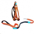 Animal Planet Step-in Harness&Anti-Shock Lead Med