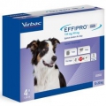 Effipro Duo Dog Medium (10-20kg) 4's