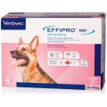 Effipro Duo Dog Large (20-40kg) 4's