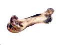 Nandoe Chew Bone Ostrich x1